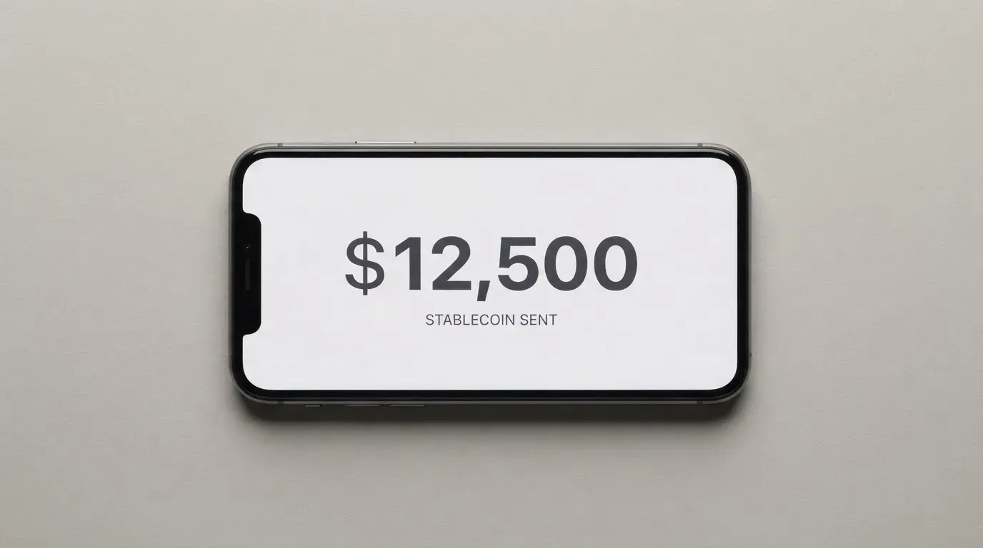 A phone showing a stablecoin transfer screen
